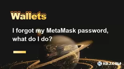 I forgot my MetaMask password, what do I do?