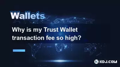 Why is my Trust Wallet transaction fee so high?
