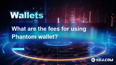 Was sind die Gebühren für die Verwendung von Phantom -Brieftaschen?