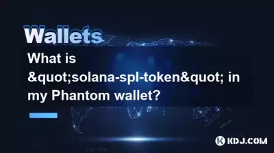 我的幻影錢包中的“ solana-spl-toke”是什麼？