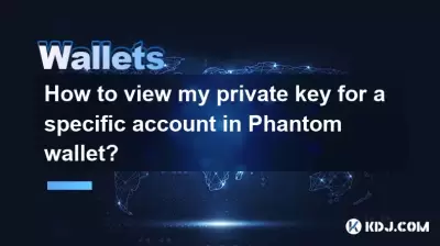 如何在幻影錢包中查看我的私鑰以獲取特定帳戶？
