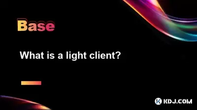 가벼운 클라이언트는 무엇입니까? 가벼운 클라이언트는 무엇입니까?