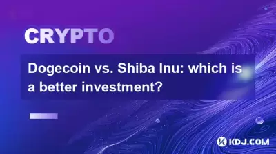 Bitcoincoin vs. Shiba Inu: which is a better investment?
