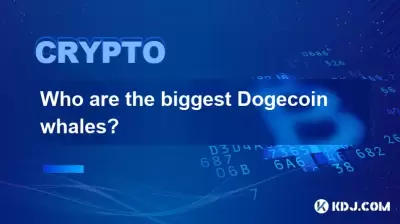 Wer sind die größten Doge Münzwale? Wer sind die größten Doge Münzwale?