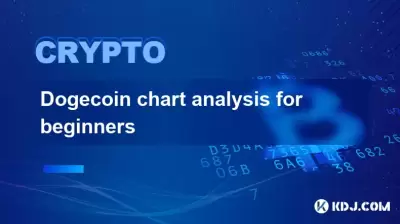 Doge初学者的硬币图表分析