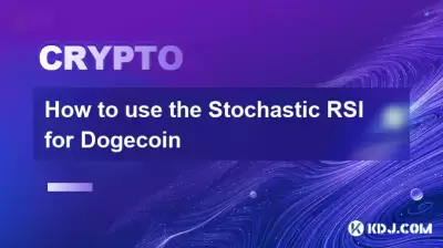 如何將隨機RSI用於Doge硬幣