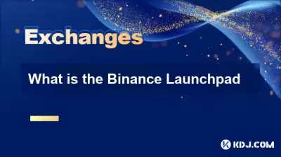 Binance 런치 패드는 무엇입니까?