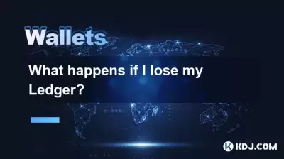 如果我失去了分类帐，会发生什么？