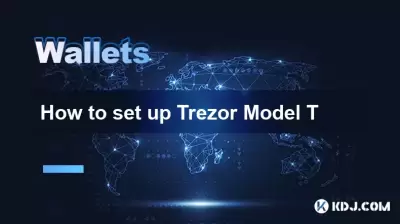 如何设置Trezor模型t