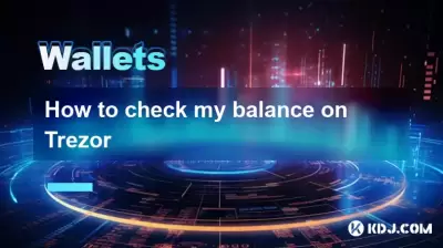 如何检查我在Trezor上的平衡