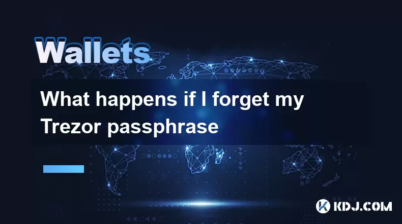 Was passiert, wenn ich meine Trezor -Passphrase vergesse Was passiert, wenn ich meine Trezor -Passphrase vergesse