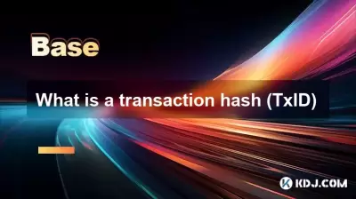 What is a transaction hash (TxID)