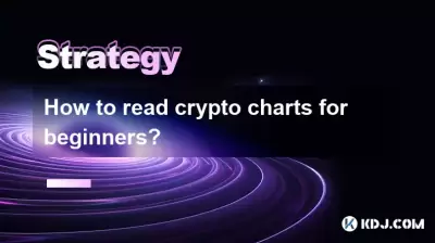 如何為初學者閱讀加密圖表? 如何為初學者閱讀加密圖表?