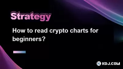 如何為初學者閱讀加密圖表? 如何為初學者閱讀加密圖表?