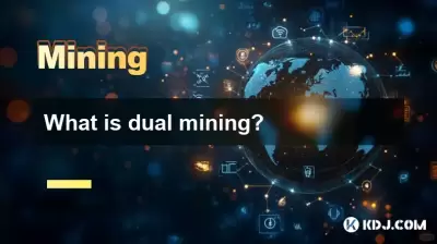 What is dual mining? What is dual mining?