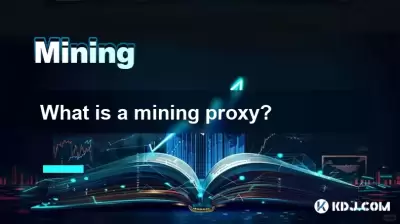 Was ist ein Bergbau -Proxy?