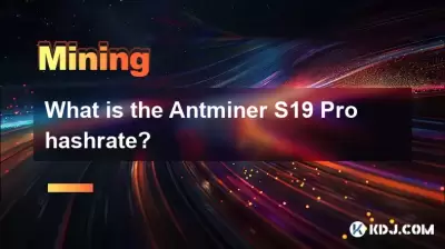 Was ist der Antminer S19 Pro Hashrate? Was ist der Antminer S19 Pro Hashrate?