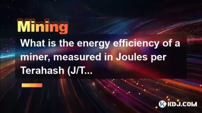 矿工的能源效率是什么，以焦耳（j/th）测量？