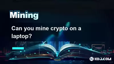 Kannst du Krypto auf einem Laptop meine?