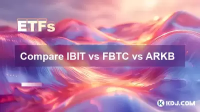 Vergleichen Sie Ibit mit FBTC gegen ArkB Vergleichen Sie Ibit mit FBTC gegen ArkB