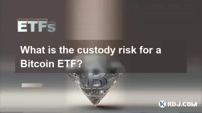 Was ist das Sorgerechtsrisiko für einen Bitcoin ETF? Was ist das Sorgerechtsrisiko für einen Bitcoin ETF?