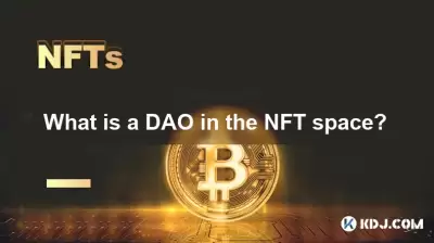 NFT 공간의 DAO는 무엇입니까?
