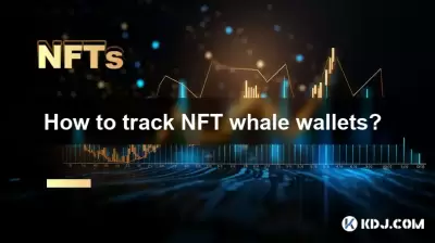 Wie kann ich NFT Wal -Brieftaschen verfolgen?