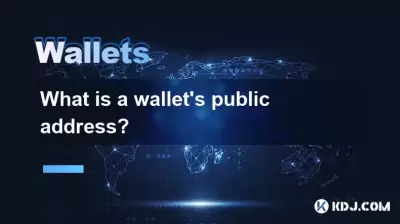 Qu'est-ce que l'adresse publique d'un portefeuille?