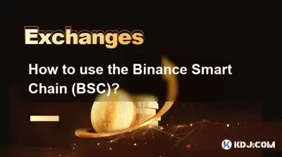 How to use the Binance Smart Chain (BSC)?