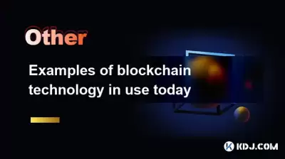 오늘날 사용중인 블록 체인 기술의 예