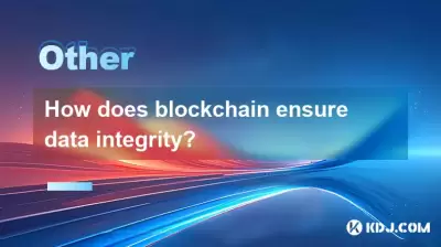 블록 체인은 어떻게 데이터 무결성을 보장합니까?