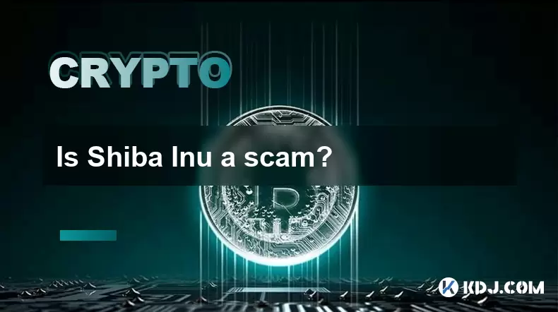 Is Shiba Inu a scam? Is Shiba Inu a scam?