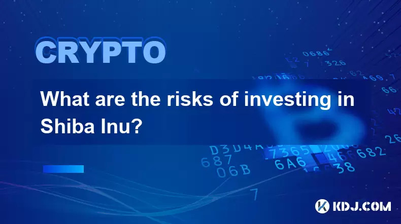 What are the risks of investing in Shiba Inu? What are the risks of investing in Shiba Inu?