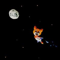 Etherscan_SHIB