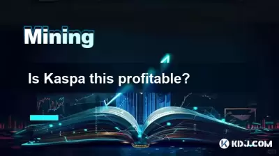 卡巴是有利可圖的嗎？