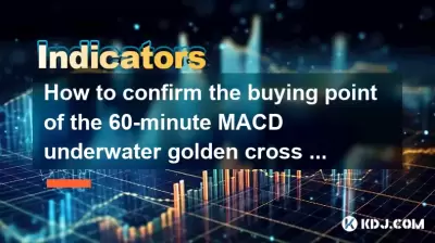 Wie kann ich den Einkaufspunkt des 60-minütigen Macd-Unterwasser-Golden Cross + Daily Line Schrumpfungsrückrufs bestätigen?