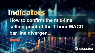 如何确认1小时MACD条线差异的中线销售点 +每日线突破了趋势线路？