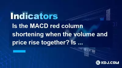 Verschärft sich die macd rote Säule, wenn sich das Volumen und der Preis zusammen steigen? Ist es eine Schwächung des Impulses oder eine kurze Pause?