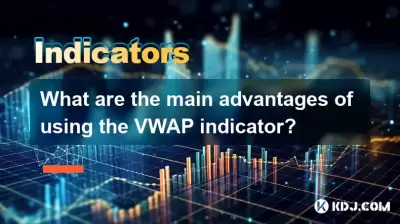 Was sind die Hauptvorteile der Verwendung des VWAP -Indikators?