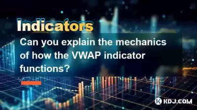 Können Sie die Mechanik erklären, wie die VWAP -Anzeige funktioniert?