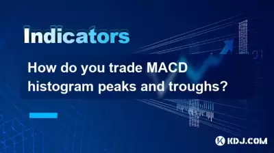 Wie handeln Sie Macd -Histogramm -Peaks und -Trogs?