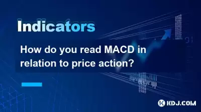 How do you read MACD in relation to price action?