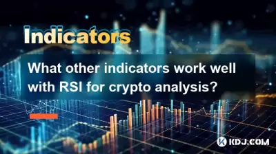 還有哪些其他指標可以與RSI進行加密分析？