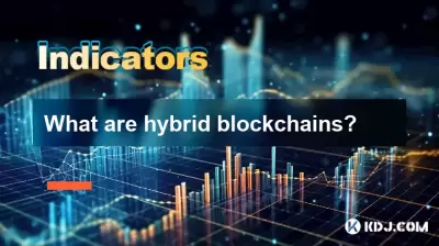 什麼是混合區塊鏈？
