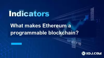 是什麼使以太坊成為可編程區塊鏈？