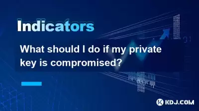 如果我的私钥被妥协，该怎么办？