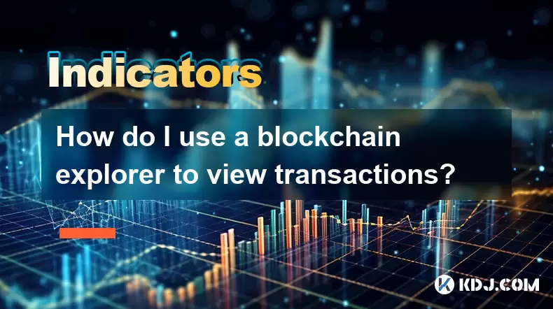 How do I use a blockchain explorer to view transactions? How do I use a blockchain explorer to view transactions?