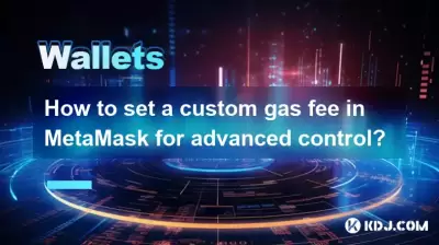 How to set a custom gas fee in MetaMask for advanced control?