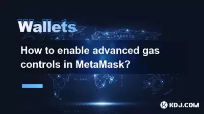 How to enable advanced gas controls in MetaMask?