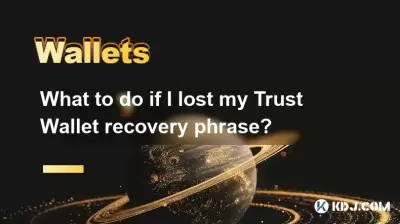 What to do if I lost my Trust Wallet recovery phrase?